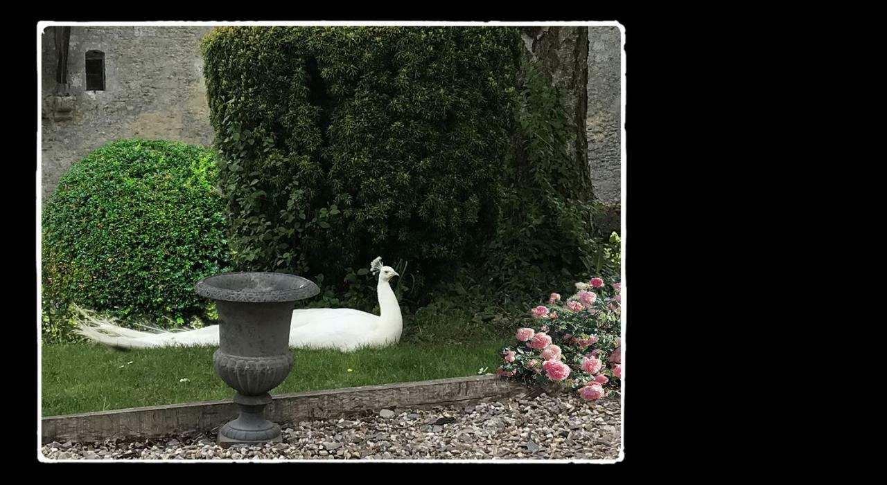 Bed and Breakfast Manoir De Livet Saint-Germain-de-Livet Exterior foto